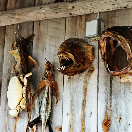 Ferienhaus 5 Person In